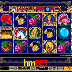 hmbet Rio de Janeiro - Professional Dealers